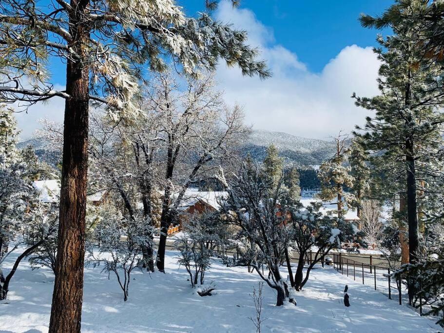 Custom Single Story Cabin With Jacuzzi Pool Table & Big Game Room With Arcade Games Big Bear Lake Esterno foto